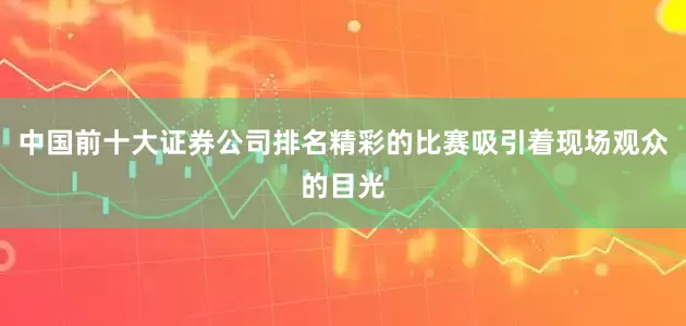 中国前十大证券公司排名精彩的比赛吸引着现场观众的目光
