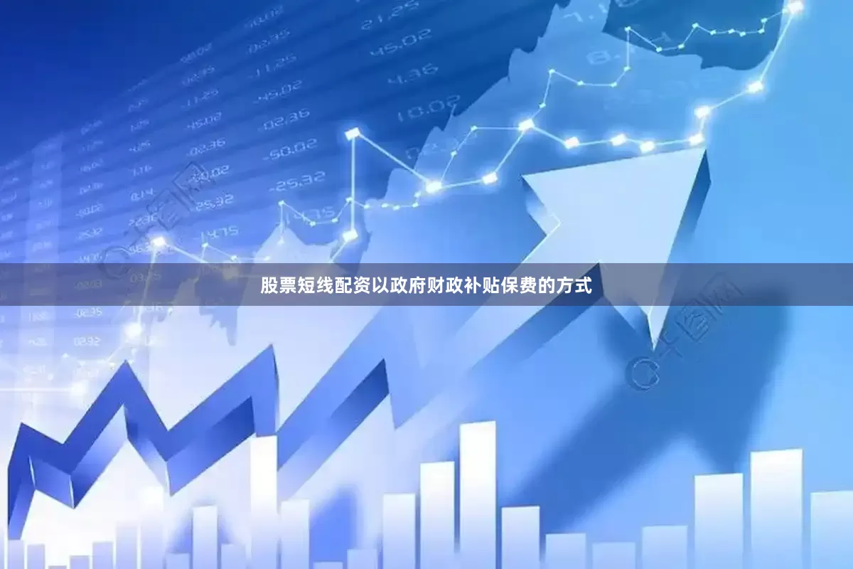 股票短线配资以政府财政补贴保费的方式